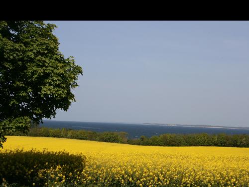 Ostseeidylle