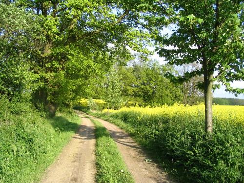 idyllische Wege