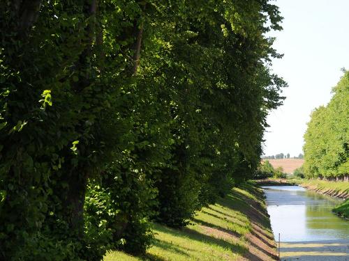Alte Alleen