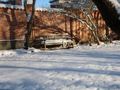 Garten im Schnee