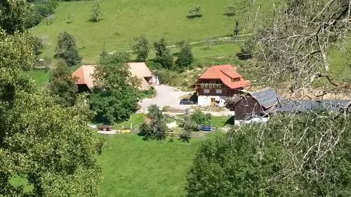 Gewann Herrenholz