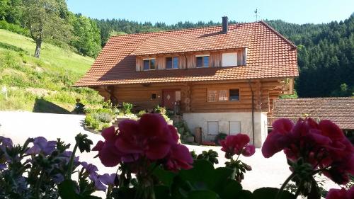 Blick vom Bauernhaus