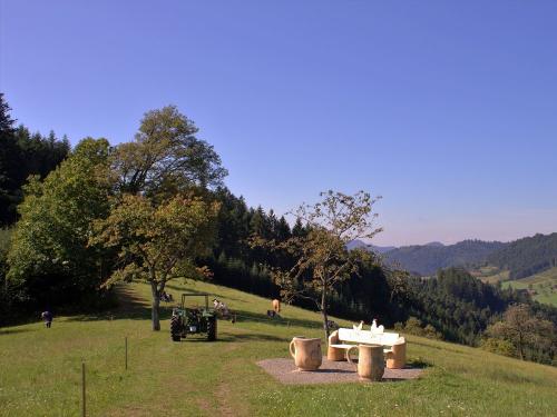 hahnundrennerunde