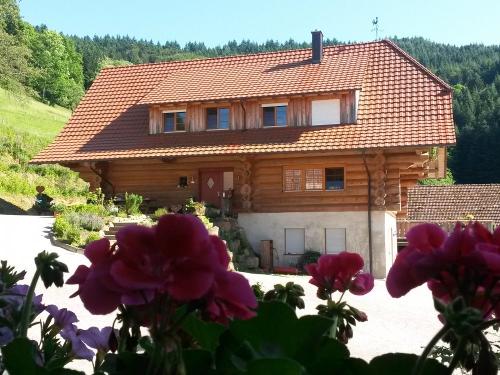 Blick vom Bauernhaus
