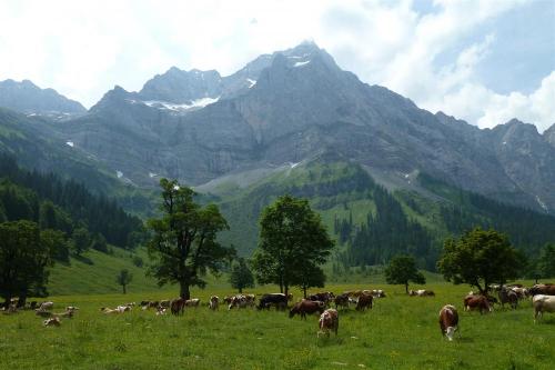 Der Ahornboden