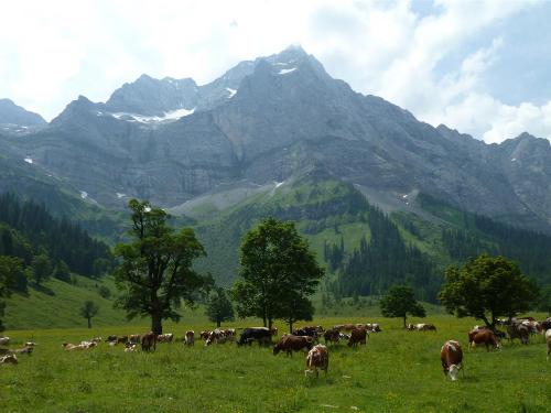 Der Ahornboden Der Ahornboden