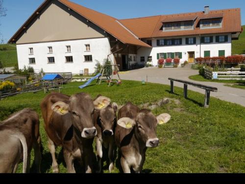 Ansicht Mühlenhof