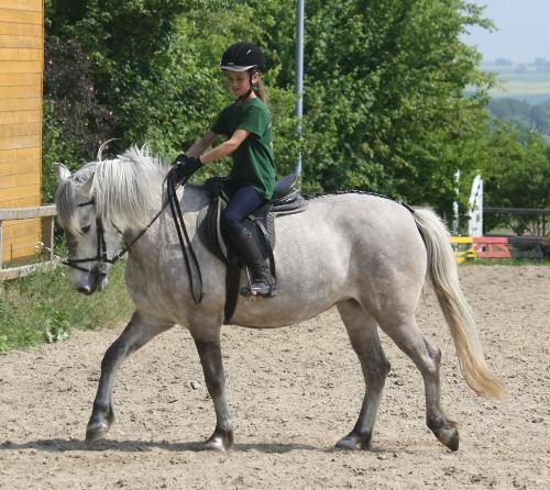 Schulpony Betty