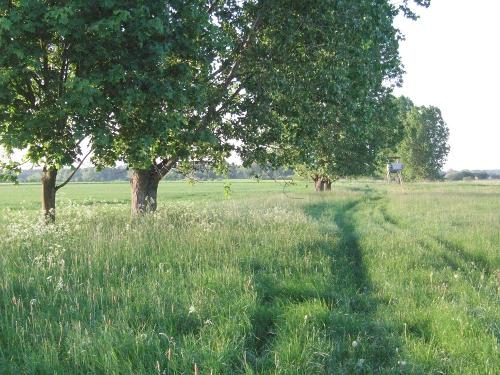 Frühling im Havelland