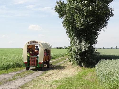 Kremserfahrt im Havelland