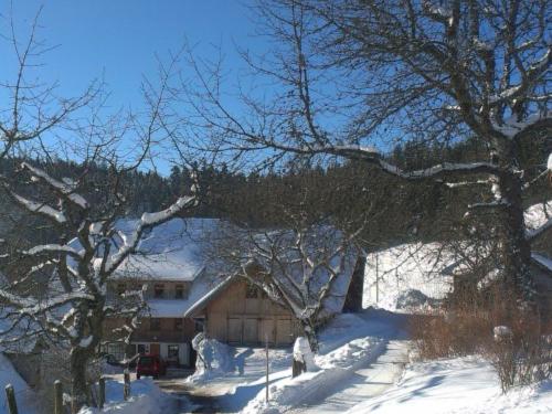hofimschnee