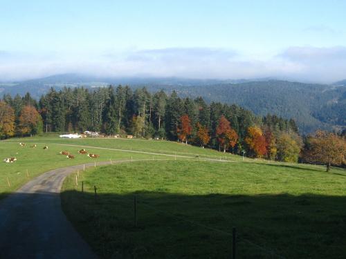Ausblick 2