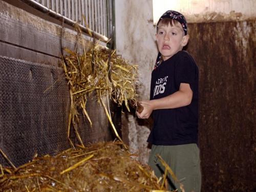 Stallarbeiten
