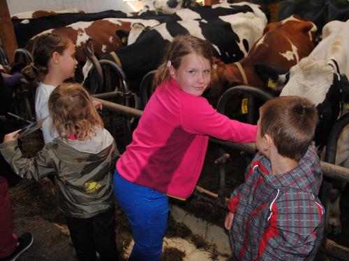 Besuch im Kuhstall bei Pfaffs
