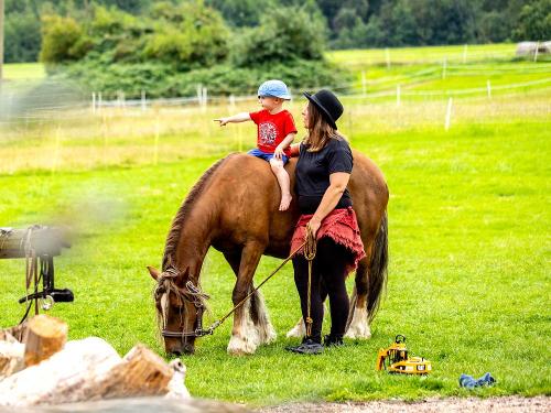 Ferienhof am Biberbach: Ponyreiten