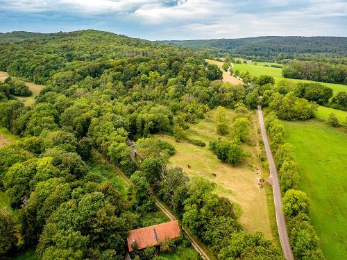 Ferienhof am Biberbach: Nationalpark Hainich