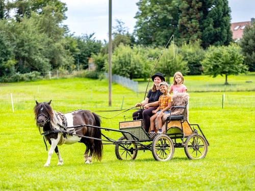Ferienhof am Biberbach: Kutschfahrt