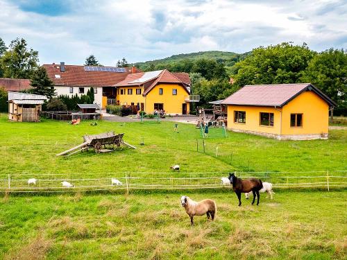 Ferienhof am Biberbach aus der Vogelperspektive