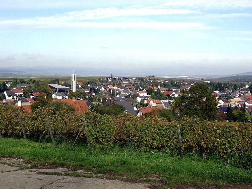 Blick auf Hackenheim in Rheinhessen
