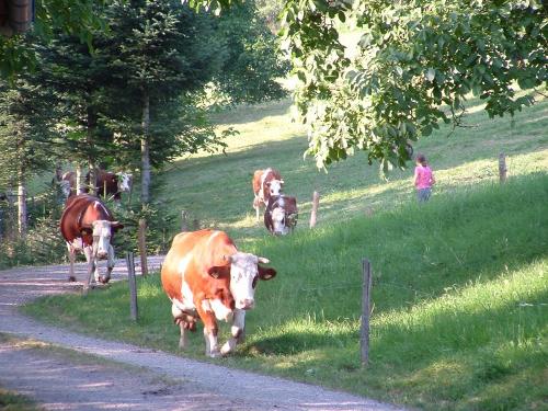 Ab nach Hause