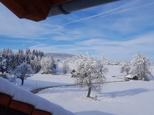 Blick vom Balkon nach Westen