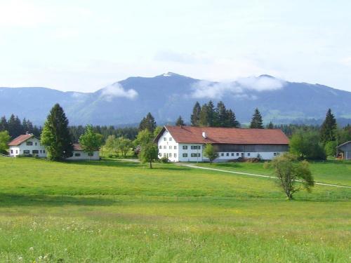 filzbauerimmai