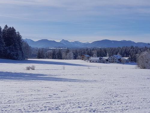 20250104_Hof Winter