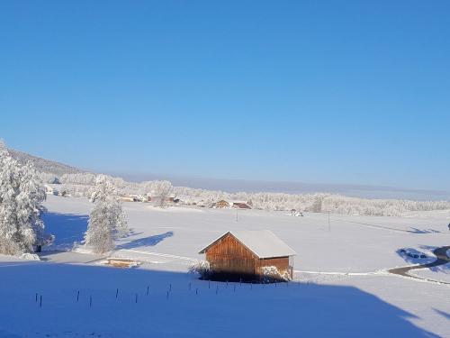 Wintermorgen