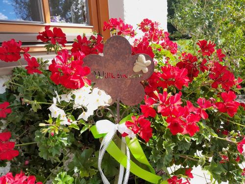 Herzlich Willkommen!