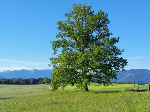 Am Staffelseerundweg
