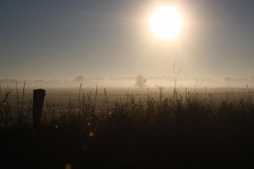 Sonnenaufgang über den Wiesen