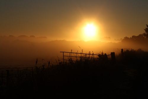 Sonnenaufgang im Eiderkoog