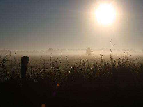 Sonnenaufgang über den Wiesen