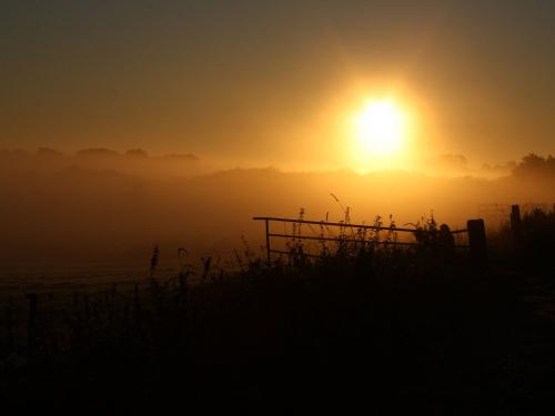 Sonnenaufgang im Eiderkoog