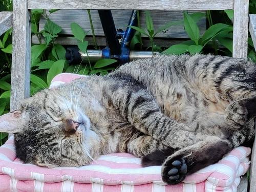 Relaxen