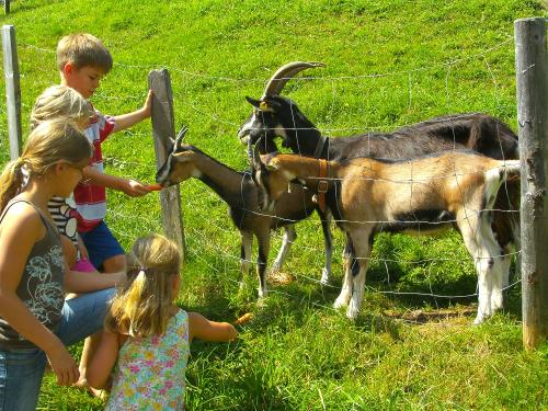 Gaißenmutter mit ihren Kindern