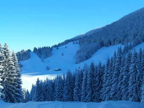 Winterlandschaft