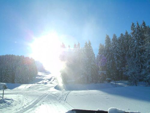 Winterlandschaft
