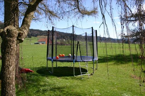 spielbereich