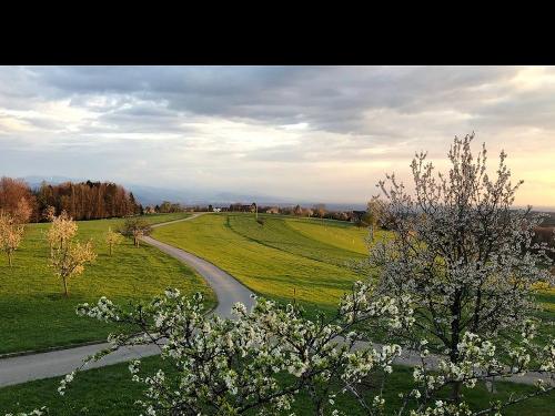 Frühling