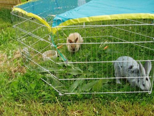 Ferienhof Reichle Ferienhof Reichle