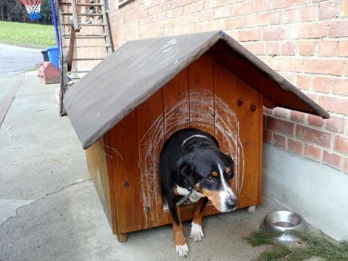 Ferienhof Reichle Ferienhof Reichle