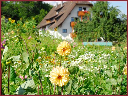 Urlaub im Grünen