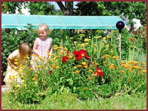 Im Bauerngarten