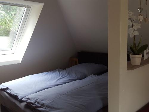 Lütte Stuv Eltern ok Lütte Stuv Eltern ok