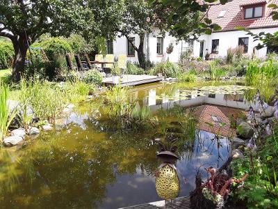 Terrasse am Gartenteich