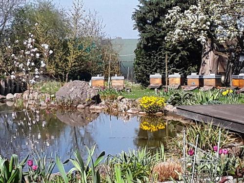 Garten im Frühling