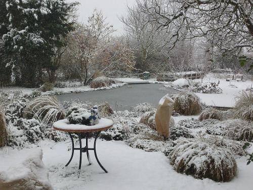 Garten im Winter