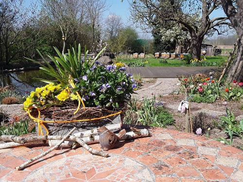 Garten im Frühling