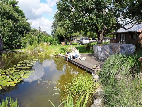 Kinder am Gartenteich